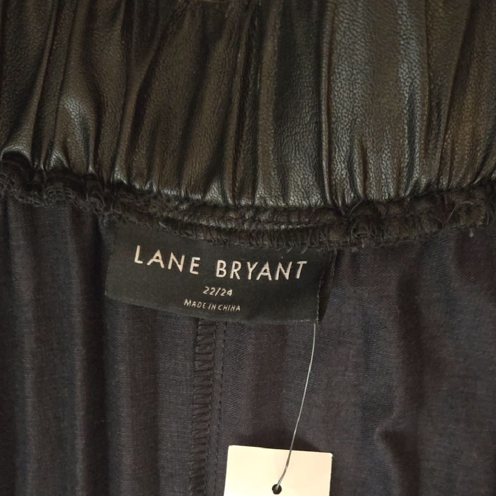Lane Bryant Black Pleated Skirt - Picture 2 of 7
